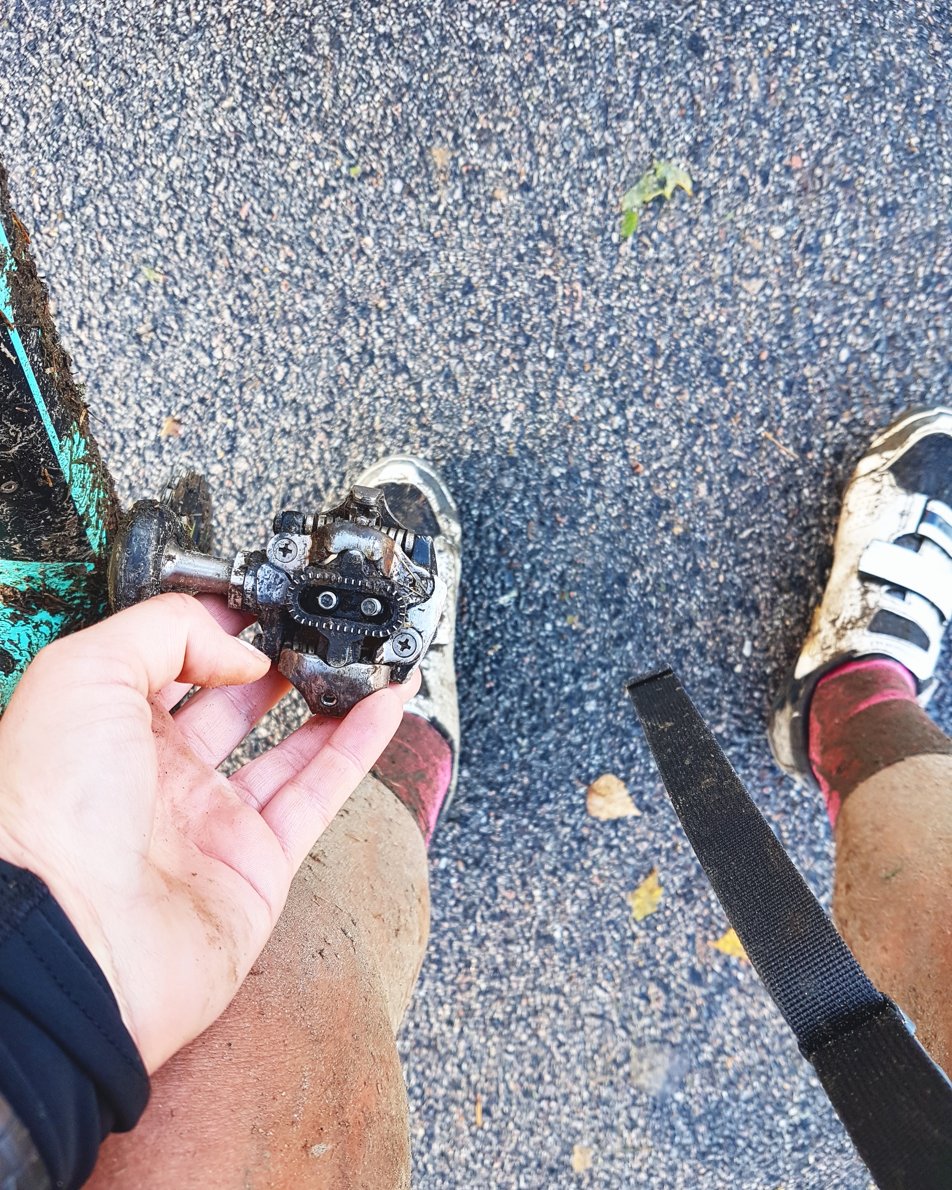 Västgötaloppet – ni får 10/10