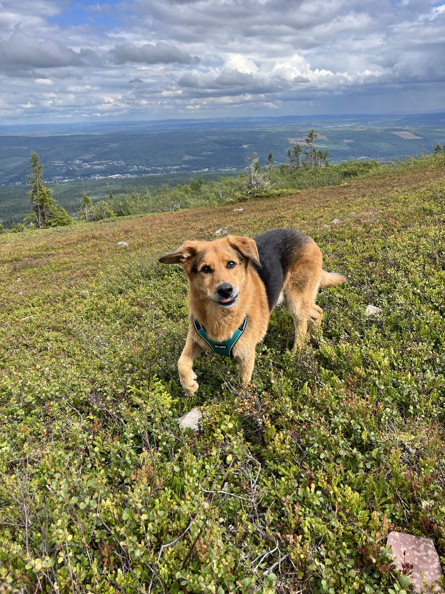 Sälenresa – The middle middle part